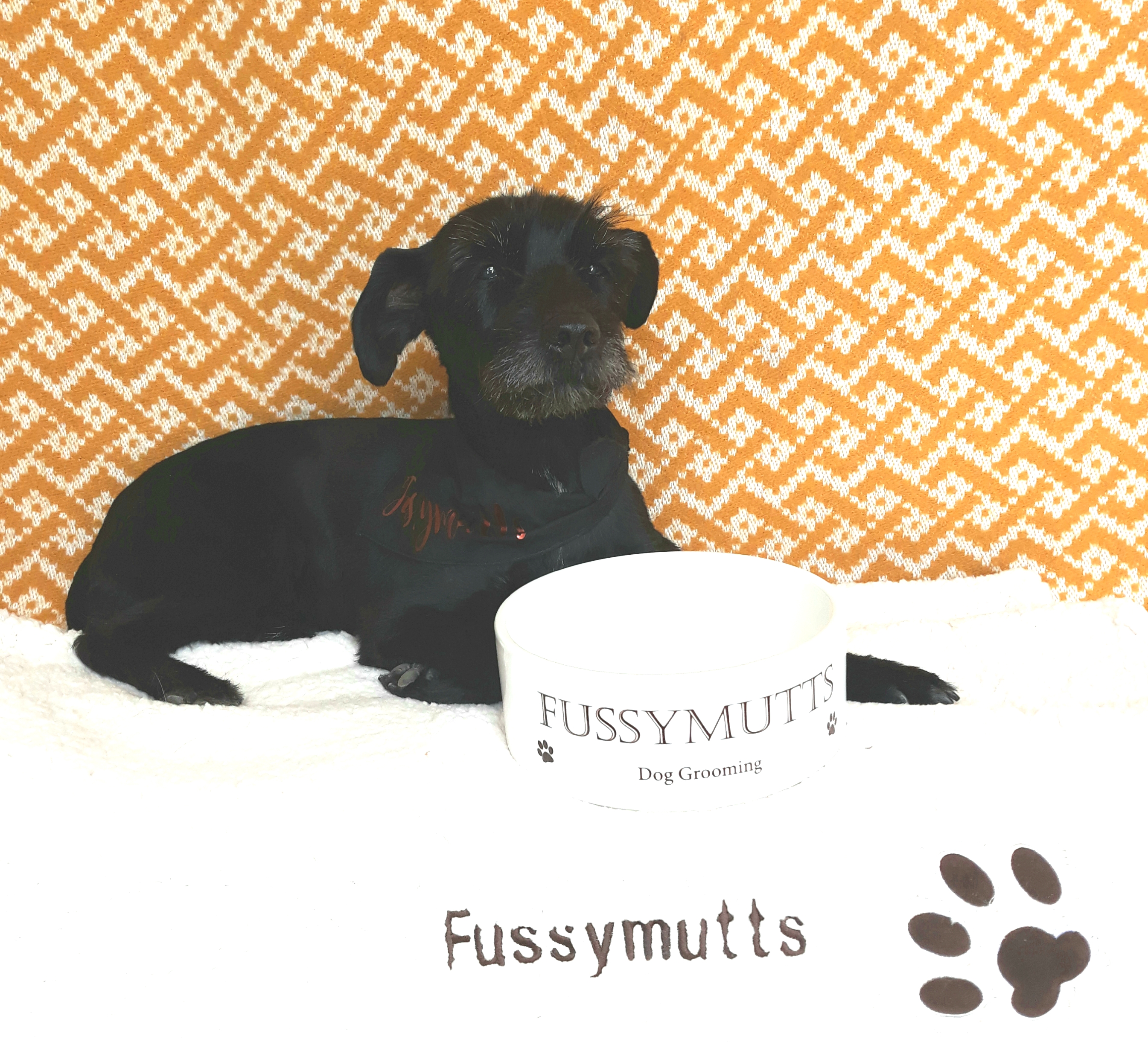 FussyMutts Dog Grooming